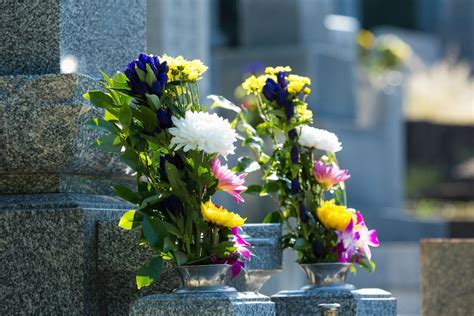 墓 花 種類|お墓に供える花の種類は？おすすめの花や一般的な選。